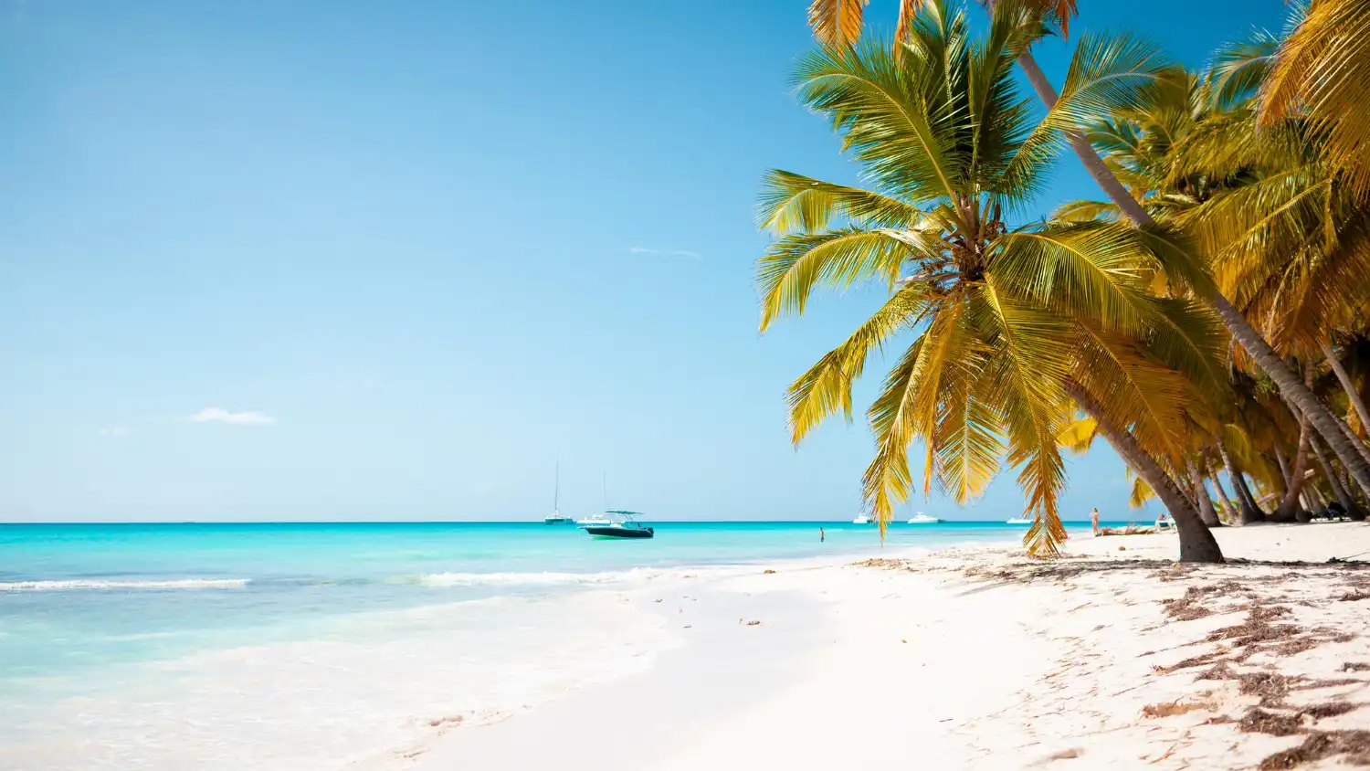 The Dominican Republic in Summer